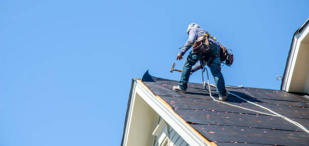 Best Roof Maintenance Services  in Vinton, IA